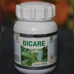 Dicare Capsule (60pcs)